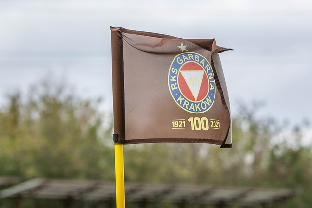 委会主席萨 委会主席萨