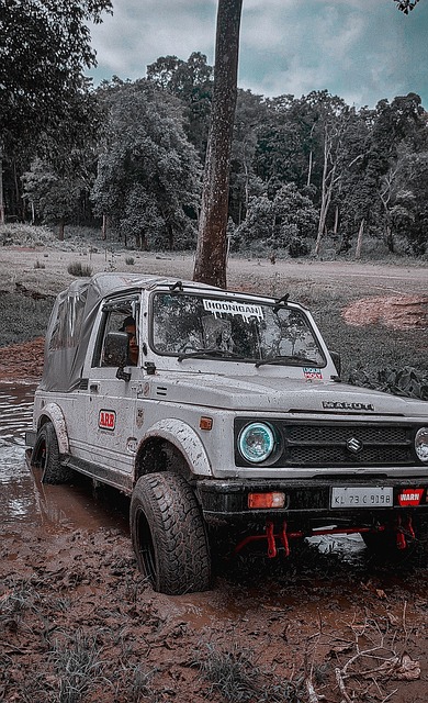 进攻与防守 进攻与防守