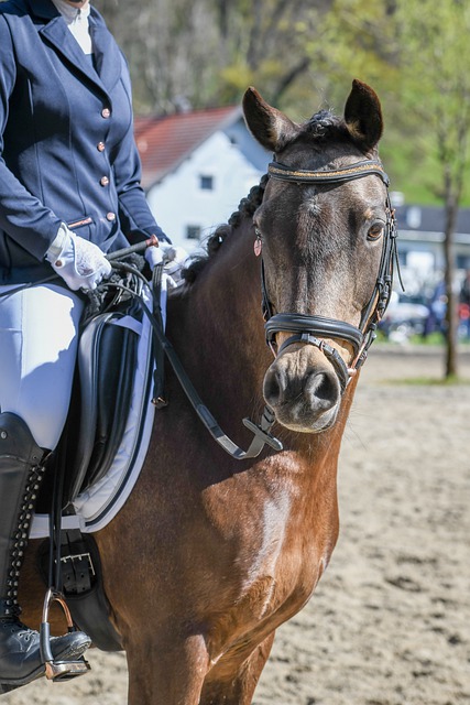 二者共同诠 二者共同诠